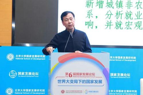 卢 2022,2022年卢氏发展成就综述 第1张 卢 2022,2022年卢氏发展成就综述 第1张