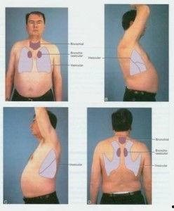 呼吸正常,揭秘人体正常呼吸的奥秘  第2张