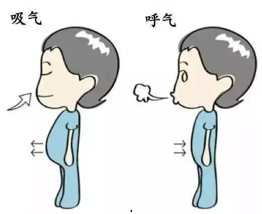 呼吸正常,揭秘人体正常呼吸的奥秘  第3张