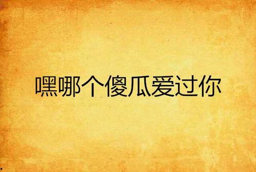 那个傻瓜爱过你,一段意外的爱情旅程  第1张