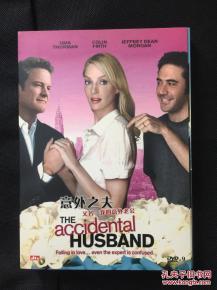 我的意外老公  第1张