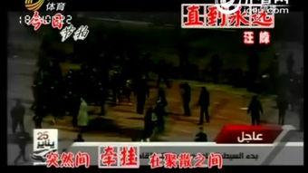 直到永远 2012,2012年的直到永远  第3张