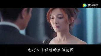 一见先生,揭秘一见先生的传奇人生  第3张