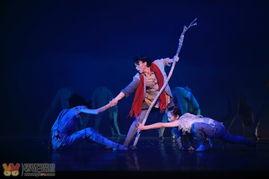 五朵红云(舞剧),舞动革命岁月的青春华章  第2张