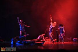 五朵红云(舞剧),舞动革命岁月的青春华章  第3张