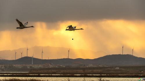 夕阳天使  第2张